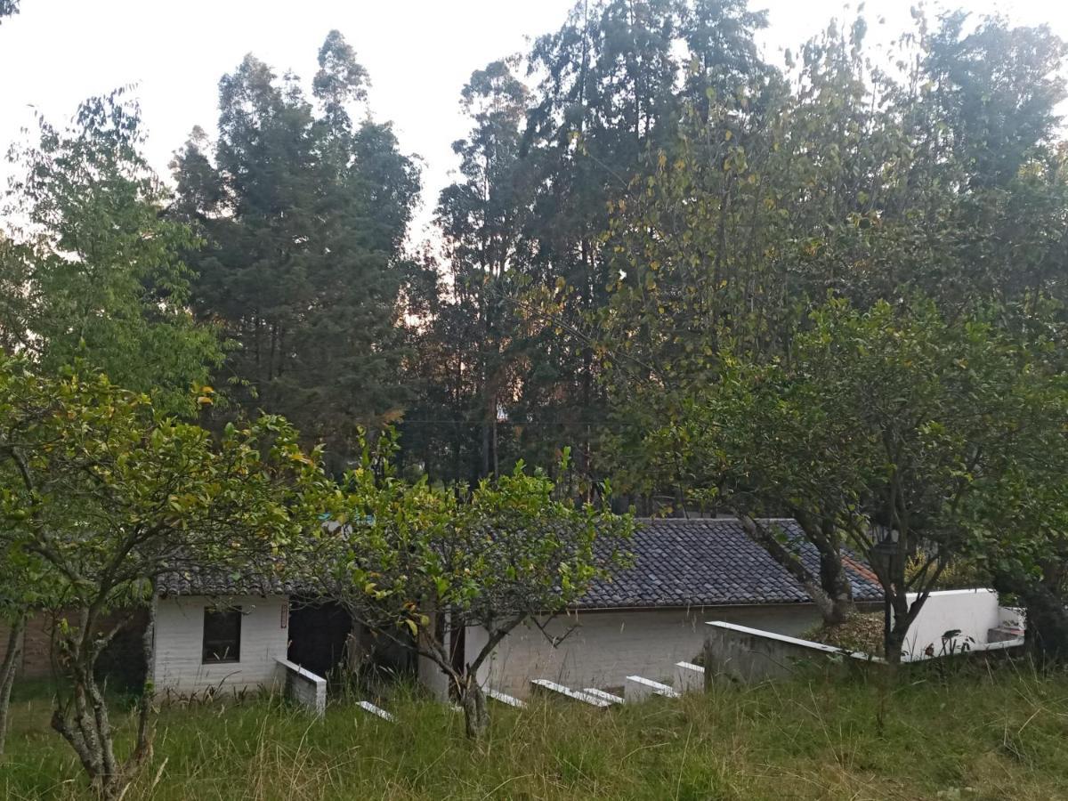 Отель Quinta Los Eucaliptos Кито Экстерьер фото